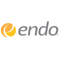 endo 1